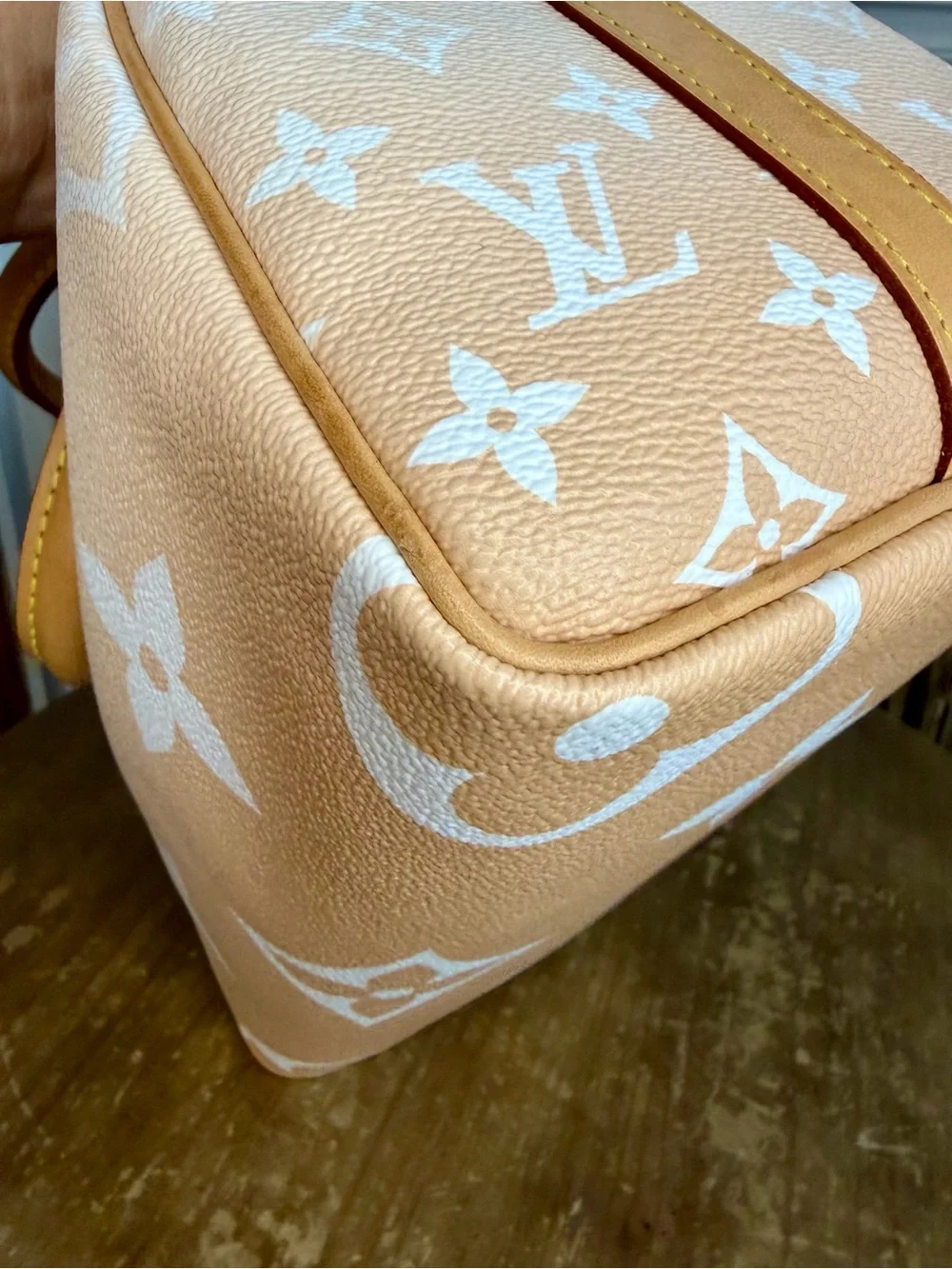 Louis Vuitton Speedy 25 By the Pool in Mist Speedy Bandoulière